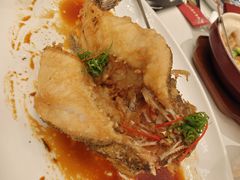 -侨美·唐荔园·40年地道粤菜