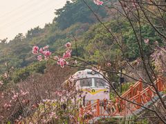 -小南山公园
