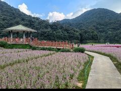 -广州市石门国家森林公园