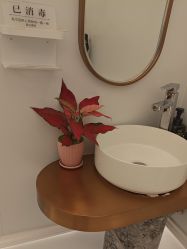 -苑苑vbeauty科技美容SPA