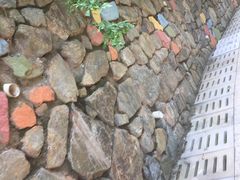 -天河儿童公园