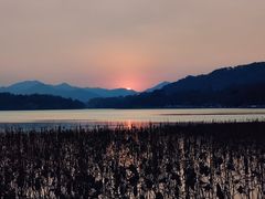 -湖畔居茶楼(湖滨店)