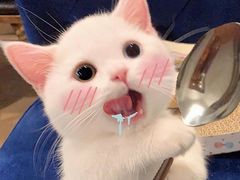 -冰川冷面·延边菜·炭烤串(观前店)