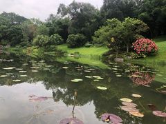 -云溪植物园