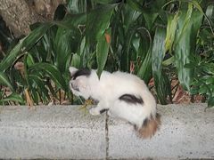 -晓港公园