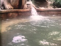 -楼观道温泉酒店