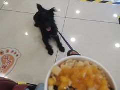 -一只酸奶牛(百联南岸上海城店)