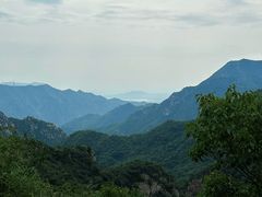 -大岭沟猕猴桃谷风景区