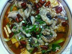 -煲来饱去冷水鱼