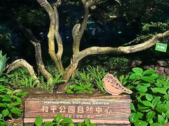 -和平公园