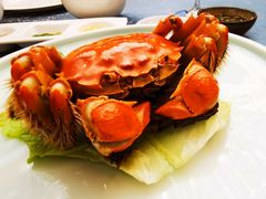 蒸螃蟹-风味小馆(天目湖宾馆店)