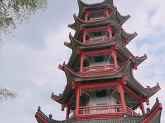 -蔡伦竹海
