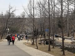 -白水寺森林公园
