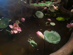 -铁锅炖灶台鱼老三炖鱼馆