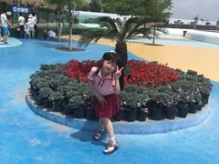 -秦皇岛乐岛海洋王国