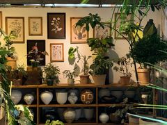 -自由生长植物工作室(深港花卉中心店)