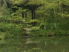 -虎跑公园