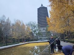 -玲珑塔公园
