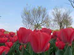 -无锡市市民中心