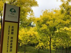 -东郊湿地公园