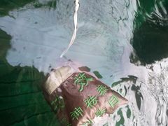 -苏州湾·王焰温泉
