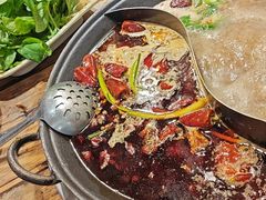 -冯校长老火锅(太古里店)