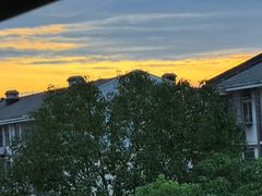 -刘胖子家常菜·蹄花焖藕(兴业店)