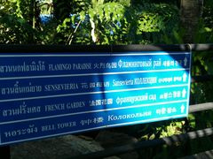 android_upload_pic-东芭乐园