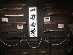 -东京塔海贼王主题公园
