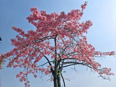 -星巴克(深圳前海企业公馆店)