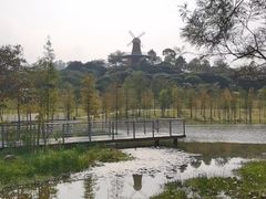 -东莞植物园