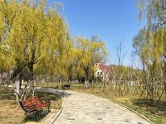-哈尔滨工业大学(威海校区)