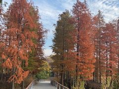 -长广溪湿地公园