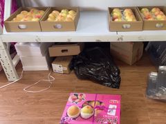 -南汇新场正宗水蜜桃采摘