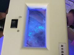 -康乐宝动物医院