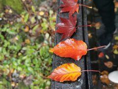 -洛阳白云山景区