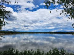 -野鸭湖国家湿地公园