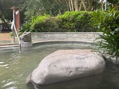 -碧水湾温泉
