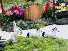 -广州白天鹅宾馆