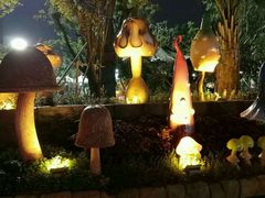 -苏州乐园森林水世界