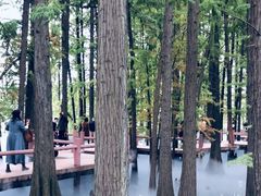 -东湖落雁景区