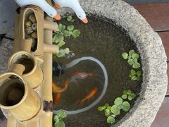 -小茶闲舍·观景商务茶馆(广州塔店)