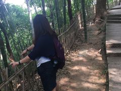 -杭州黄龙洞