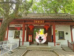 -秋霞圃