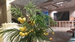 -LIIZ肖像(悦动新门西店)