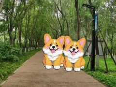 -大兴滨河森林公园