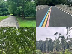 -同里国家湿地公园