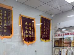 -利又安动物医院··老年病·猫科犬科·中兽医