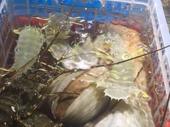 -盒马鲜生(悦峰店)