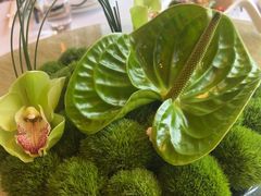 -上海金茂大厦88层观光厅
